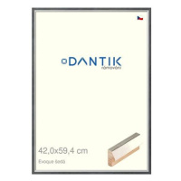 DANTIK rámeček 42 × 59,4, EVOQUE šedý plexi čiré