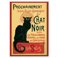 Plakát, Obraz - Černá kočka, 61x91.5 cm