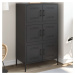 vidaXL Skříň highboard černá 68 x 39 x 113 cm ocel