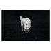 Fotografie Dogs of Iceland, Ve Shandor, 40 × 26.7 cm