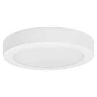 Greenlux LED Stropní svítidlo FENIX LED/12W/230V 2900/3900/5800K pr. 16,8 cm bílá