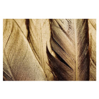 Ilustrace Close-up of Gold Leaf Feathers, Adrienne Bresnahan, 40 × 26.7 cm