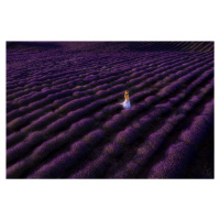 Umělecká fotografie The woman in lavender, Bingo Z, (40 x 26.7 cm)