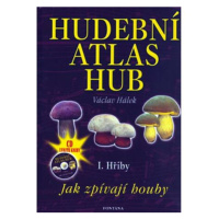 Hudební atlas hub