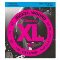 D'Addario EXL170SL