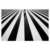 Fotografie Black and white, Kouji	Tomihisa, 40 × 26.7 cm