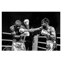 Fotografie Boxing, Reza Mohammadi, 40x26.7 cm
