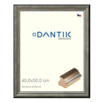 DANTIK rámeček 40 × 50, ANIVERSA stříbrný sklo čiré