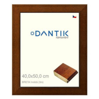 DANTIK rámeček 40 × 50, BRETA hnědý sklo čiré