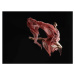 Fotografie Ballet dancer wearing flowing dress in, Ryan McVay, (40 x 30 cm)