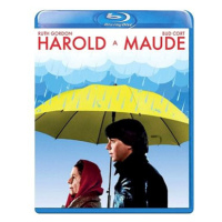 Harold a Maude - blu-ray