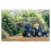 FALK Šlapací traktor 3090M New Holland T8 s nakladačem a vlečkou