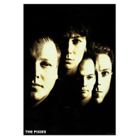 Plakát, Obraz - Pixies - Faces, 59.4x84 cm