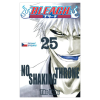 Bleach 25