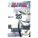 Bleach 25