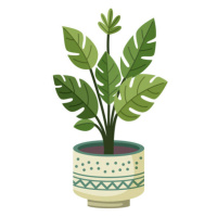 Ilustrace Monstera plant in a pot, Yuliia Sydorova, 40x40 cm