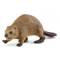 Schleich Bobr