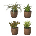 Umělé rostliny v sadě 4 ks (výška 10 cm) Cactus – Casa Selección