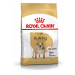ROYAL CANIN Bulldog Adult Úsporné balení: 2 × 12 kg