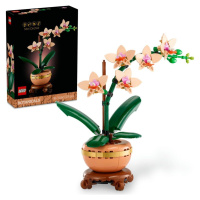 LEGO® Botanicals 10343 Miniaturní orchidej