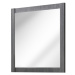 ArtCom Zrcadlo CLASSIC Graphite 841 Classic Grafit: zrcadlo CLASSIC GRAFIT 841 - 80 cm | 80 x 2 