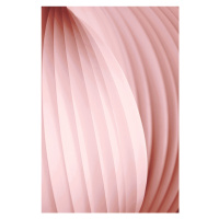 Fotografie Peach Pink, Christina Sillen, 26.7 × 40 cm