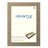 DANTIK rámeček 29,7 × 42, Golf champagne plexi čiré