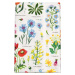 Ubrus z papíru 120x180 cm Wild Flowers – Rex London