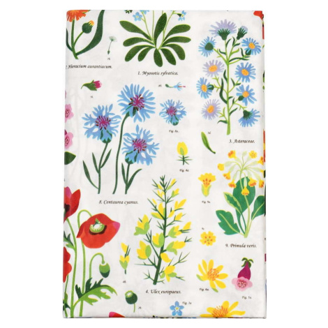 Ubrus z papíru 120x180 cm Wild Flowers – Rex London