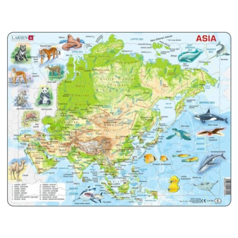 Puzzle Asia Topographic Map DYBERG LARSEN