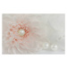 Fotografie Pink chrysanthemum, longtaildog, 40x26.7 cm
