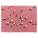 Fotografie Drone image close to flamingos flying, Abstract Aerial Art, 40 × 30 cm