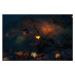 Ilustrace Beautiful shot of maple leaves fallen, Wirestock, (40 x 26.7 cm)