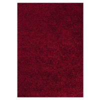 Ayyildiz koberce Kusový koberec Dream Shaggy 4000 Red Rozměry koberců: 60x110