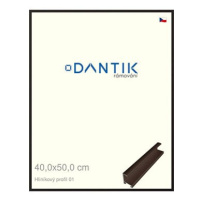 DANTIK rámeček 40 × 50, ALU profil 7001 Hnědý matný plexi čiré