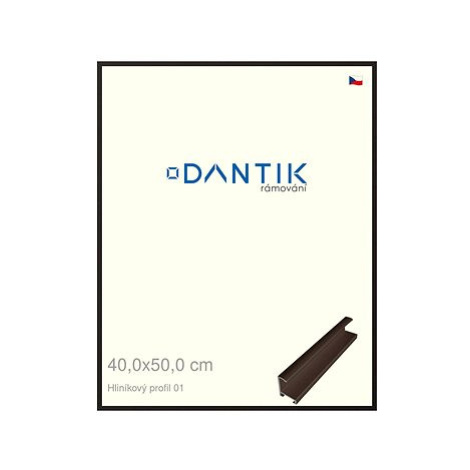 DANTIK rámeček 40 × 50, ALU profil 7001 Hnědý matný plexi čiré