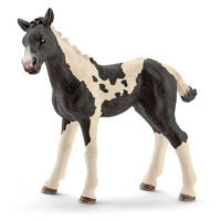 Schleich Hříbě strakaté