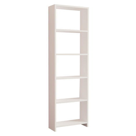 Knihovna New White