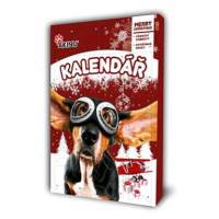 Akinu Adventní kalendář pro psy 190 g