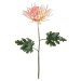 FLORISTA Chryzantéma 68 cm - růžová