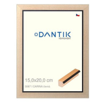 DANTIK rámeček 15 × 20, CARINA černý sklo čiré