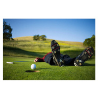 Fotografie Golfer lying on green, ball on edge of hole, Joe McBride, (40 x 26.7 cm)