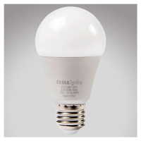 LED žárovka Bulb 12W E27 6500K