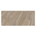 Oneflor Vinylová podlaha lepená ECO 30 066 Prestige Oak Natural  - dub - Lepená podlaha