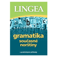Gramatika současné norštiny