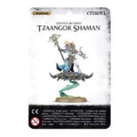 Warhammer AoS - Tzaangor Shaman