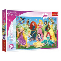 Trefl Puzzle Půvabné princezny/Disney 100 dílků 41x27,5cm v krabici 29x19x4cm