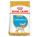 Royal Canin Chihuahua Junior 1,5 kg