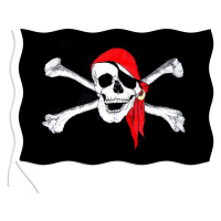 RAPPA Vlajka pirátská 90x150 cm