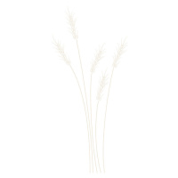 Ilustrace Wheat Grass, Studio Collection, 26.7 × 40 cm